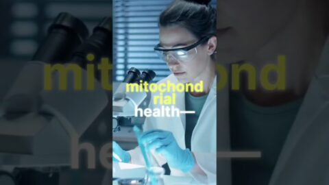 MITOLYN Review – Watch This Before You Buy!