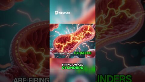 🌱 Mitolyn Review: Boost Metabolism & Burn Fat Naturally Through Mitochondria! 💚 #mitolyn #fatburning