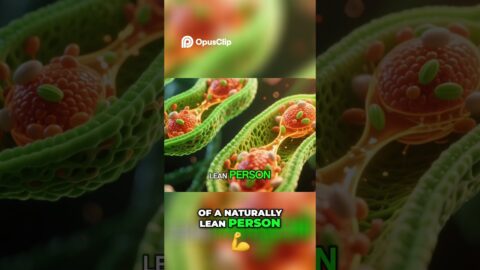 ⚡ Mitolyn Review: Unlock Your Metabolism & Transform Your Health Fast! 💊 #mitolyn #fatburning